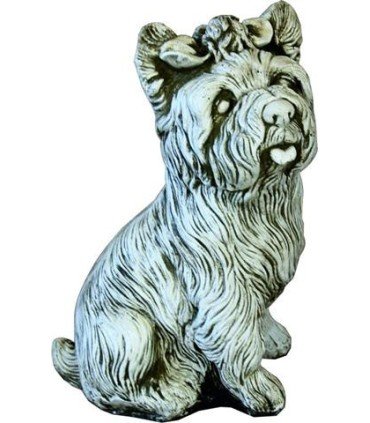 YHORKSHIRE CON LAZO 36 CM.