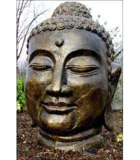 CABEZA DE BUDA GRANDE