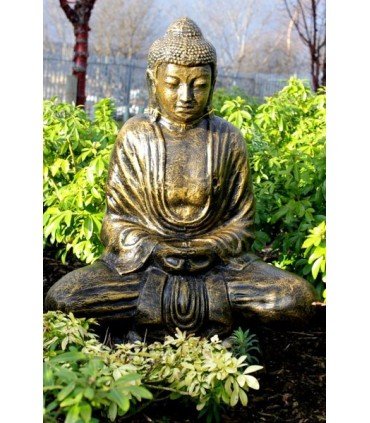 Buda Thay Dorado 75 cm