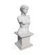 Busto de Venus en piedra artificial.