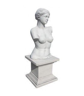 Busto de Venus en piedra artificial.