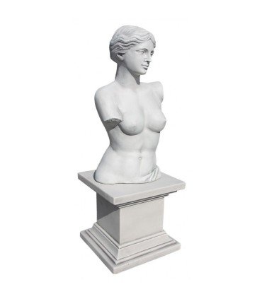 Busto de Venus en piedra artificial.