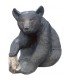 Oso Tedy en piedra