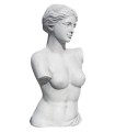 Busto Venus de Milo en piedra