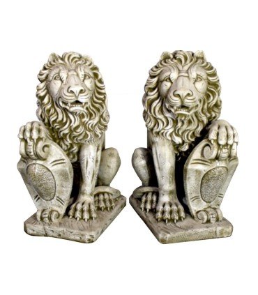 Pareja de leones super