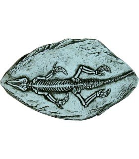 FÓSIL DE REPTIL.