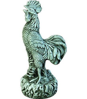 GALLO AMERICANO 50 CM.